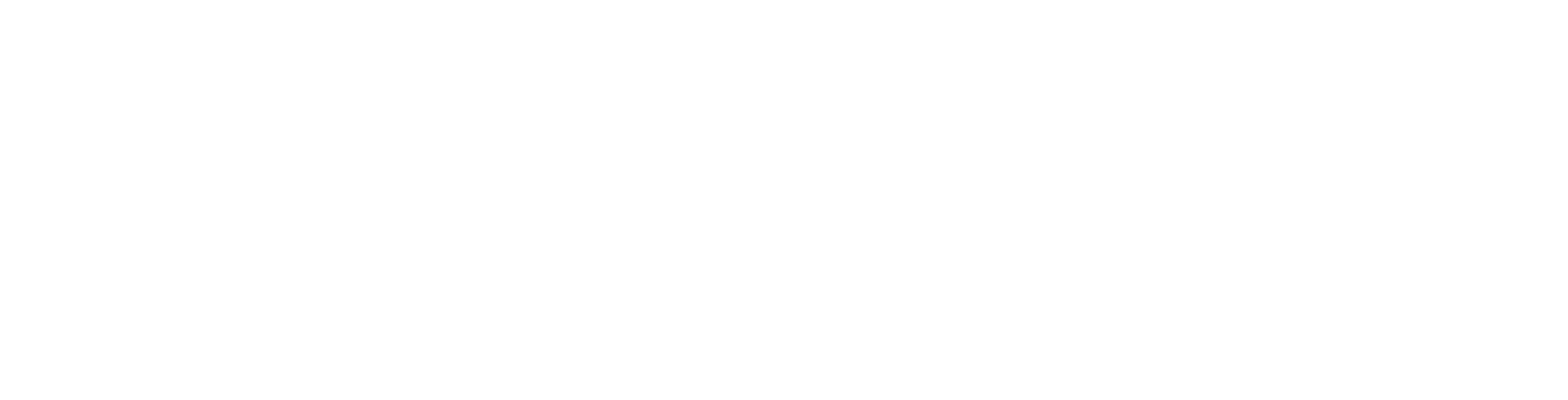 Capital Investment Advisors