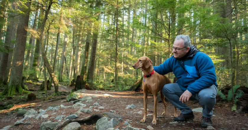 plan for unexpected retirement